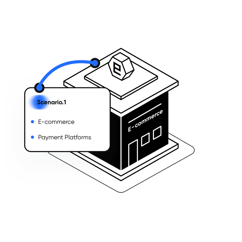 E-commerce & Payment Platforms