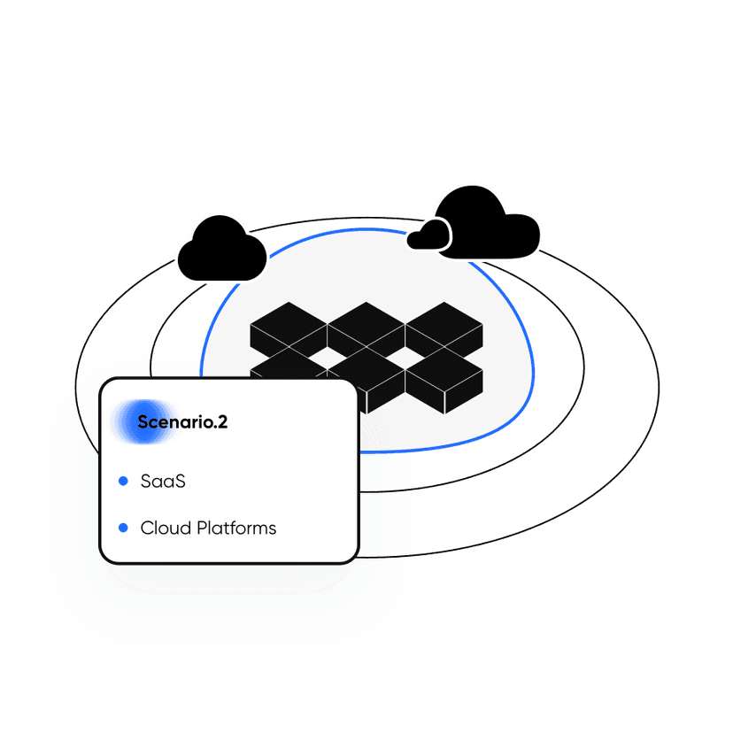 SaaS & Cloud Platforms